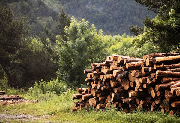 Our Commitment to the Planet Eco-Friendly Materials